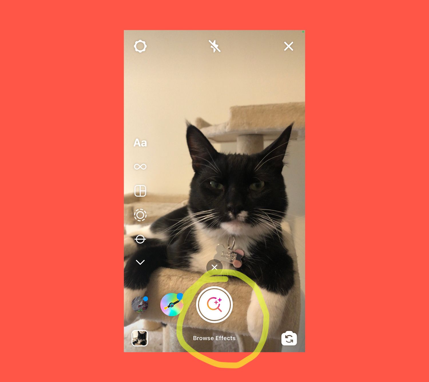 How To Use Benni's AR Filter on Instagram and Facebook