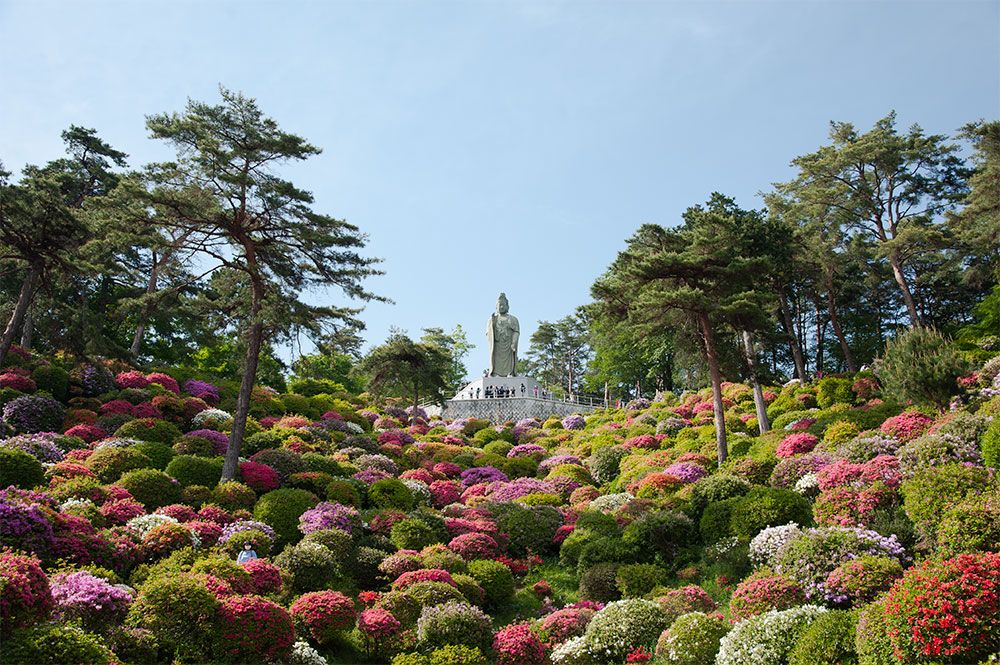 Five Secret Neighborhoods of Tokyo You Need To Know